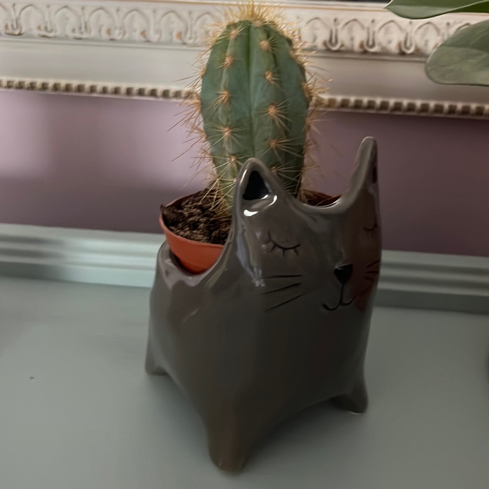 Dark Grey Cat Pot For Plant